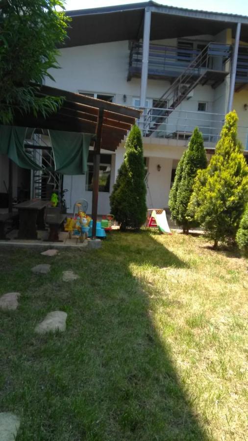 Vila Stefan Pescarusului קוסטינסטי מראה חיצוני תמונה